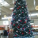 19.12.2015 �� ������� ���� ����������