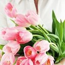 ���� ��������� ���������, ��������� - ��������� 5 ����� 2016 � ������ ���� ����������