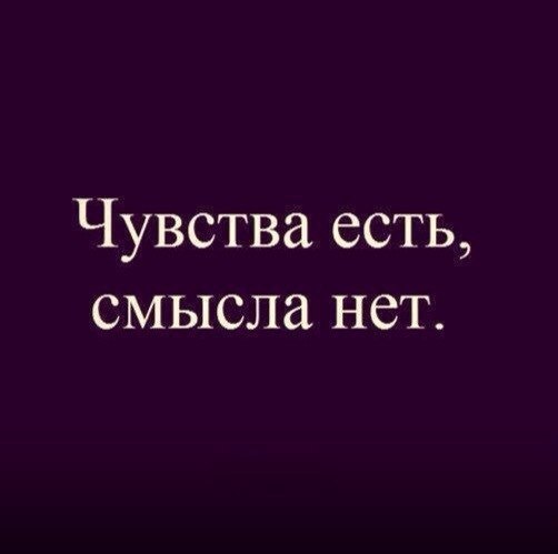   -  ,  -  - 13  2015  23:19