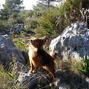 ���� �������, ������, 41 ��� - ��������� 11 ������� 2016 � ������ ���� ����������