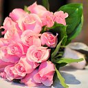 ���� �����, ������ - ��������� 5 ������� 2016 � ������ ���� ����������