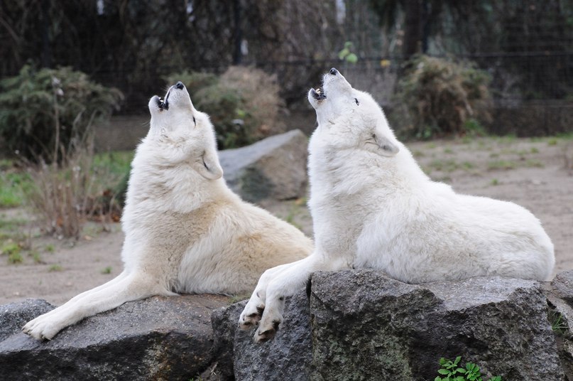   - 9  2016  14:02 - 4