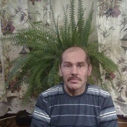 ������, �����-���������, 59 ���