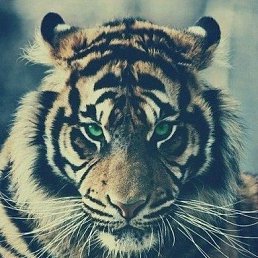 ���� Metiz, ������ - ��������� 21 ������� 2016