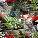 ���� �������, ����������, 45 ��� - ��������� 20 ������ 2016 � ������ ���� ����������