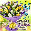 ���� �������, ����� - ��������� 23 ������� 2015 � ������ ���� ����������