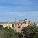 ���� ����, ������, 40 ��� - ��������� 26 ������� 2015 � ������ ���� ����������