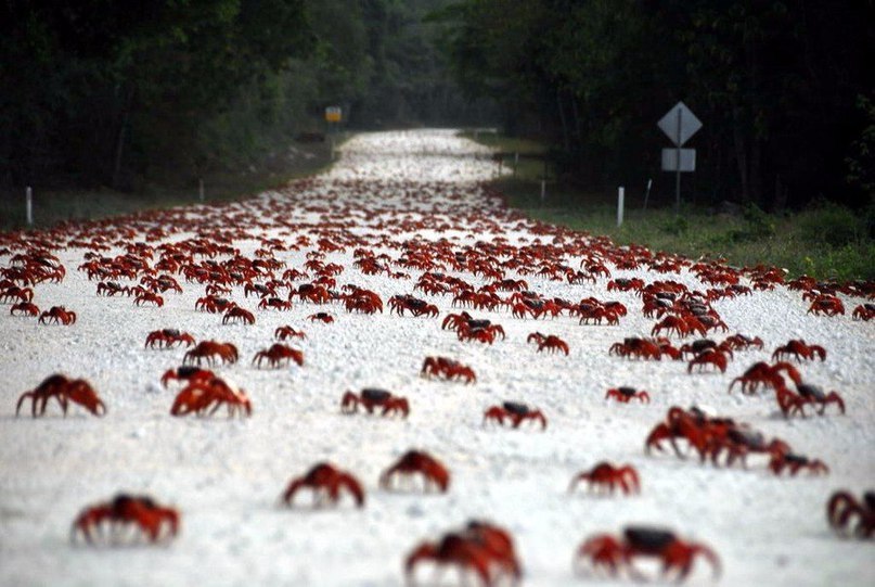    ,  crab bucket theory     .  , ...