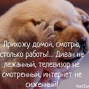 ���� �������, ���������� - ��������� 27 ������ 2015 � ������ ������ ��������