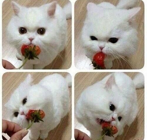      :))