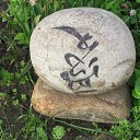 ���� ��������, ����������� - ��������� 12 ������ 2015