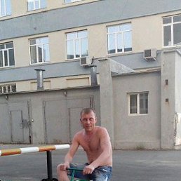 �������, �����������, 38 ���