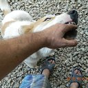 ���� �������, ���������, 50 ��� - ��������� 19 ������� 2015 � ������ ���� ����������