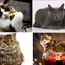 ���� Viktor, ����� - ��������� 29 ������� 2015 � ������ ������ ��������