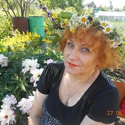 �����, ��������, 85 ���