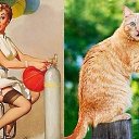 ���� ����, ����������� - ��������� 10 ������� 2015 � ������ �Cats�