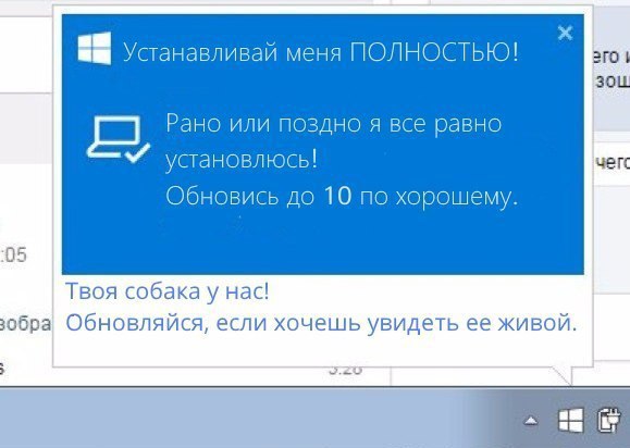 Windows  windows