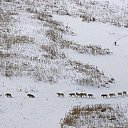 ���� ����, ������, 54 ���� - ��������� 22 ������� 2016 � ������ ������ ��������