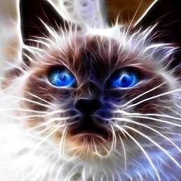 ���� �����, ������ - ��������� 19 ������ 2015