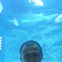 ���� �������, ������, 51 ��� - ��������� 20 ������ 2015 � ������ ����������� 11.11.15�