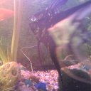 ���� �������, ���������� - ��������� 25 ������ 2015