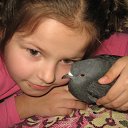 ���� ������, ������, 46 ��� - ��������� 4 ������ 2016