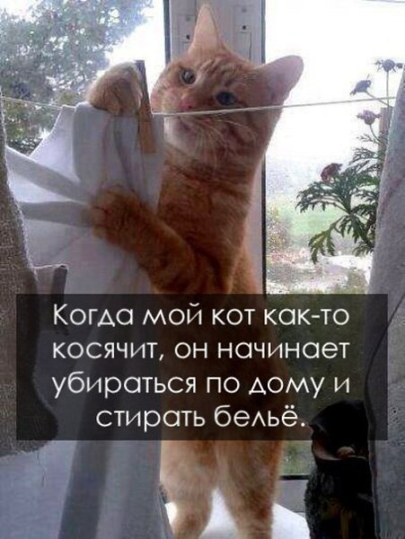       - 20  2015  19:05