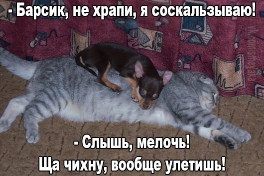 ������� - 3 ������ 2016 � 00:00