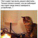 ���� ��������, ������ - ��������� 8 ������� 2015 � ������ ������ ��������