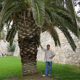 ���� ����� ��������, ������, 53 ���� - ��������� 29 �������� 2015