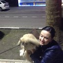 ���� �������, ������, 49 ��� - ��������� 17 ������� 2016 � ������ ���� ����������