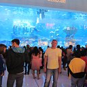 �����, ���, Dubaimall �� ������� ���� ����������