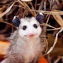 ���� ����, ������, 47 ��� - ��������� 22 ������ 2015 � ������ ���� ����������