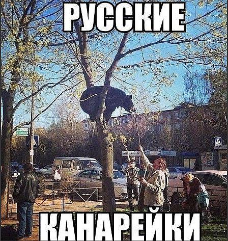 -  - 28  2016  19:31