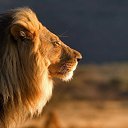 ���� ��������, ������, 62 ���� - ��������� 3 ������ 2015 � ������ ���� ����������