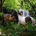  Nta-., - -  23  2016   .