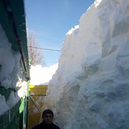 ���� �������, �������, 40 ��� - ��������� 14 ������ 2016