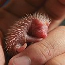 �� �������� , ��� � ���� - ������ � ��������� ��������� ��������� )))