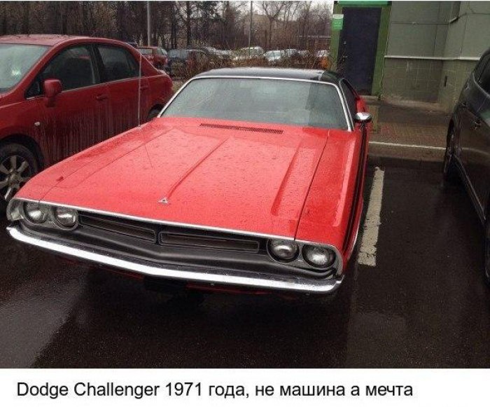 Dodge Challenger 1971 .  5,2 . 230 .  .     ...