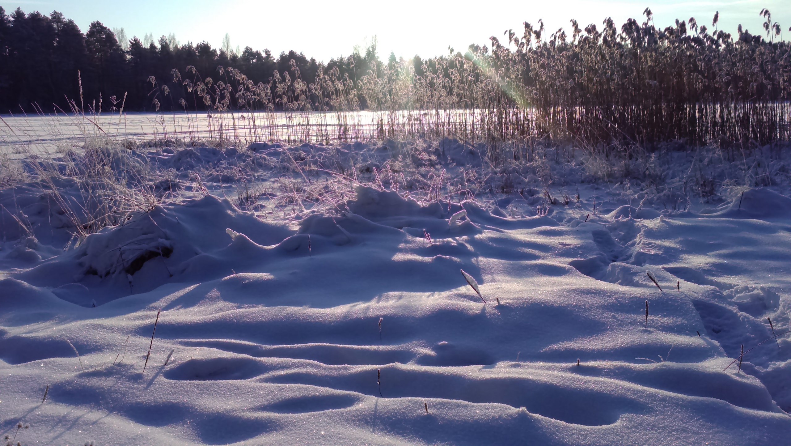   - 11  2016  02:10 - 2