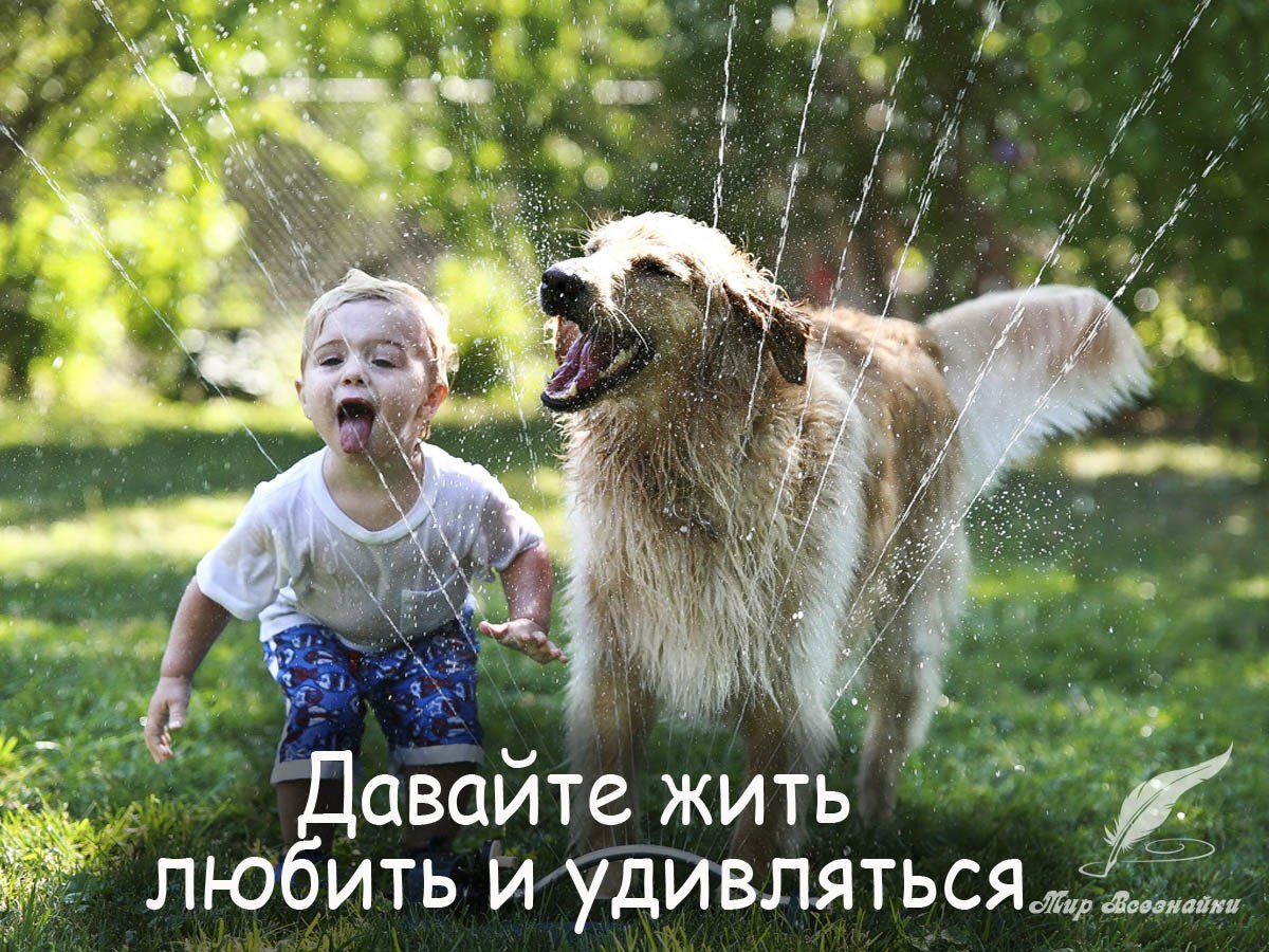 Давайте Жить, Любить и удивляться, Давайте верить, помнить и жалеть, От Счастья плакать, от Души ...