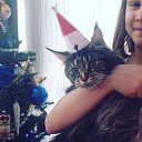 ���� �����, ����, 50 ��� - ��������� 25 ������� 2016 � ������ ���� ����������