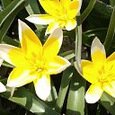 ���� ��������, ����� - ��������� 21 ������� 2015 � ������ ���� ����������