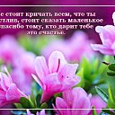���� ����, ��������, 68 ��� - ��������� 21 ������� 2015 � ������ ������ ��������