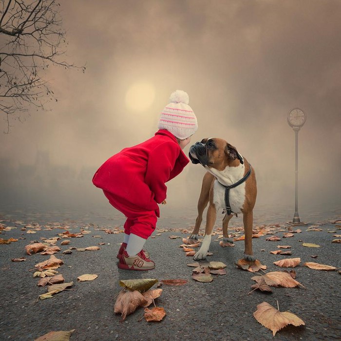    (Caras Ionut)..       ... - 7