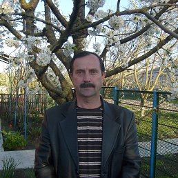 ������, ���������, 69 ���