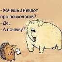 ���� �����, ������ - ��������� 1 ������� 2015 � ������ ���� ����������