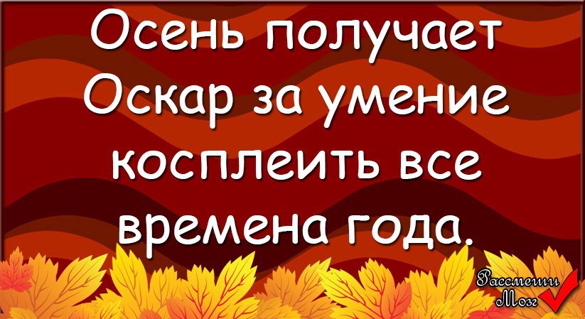 осень выдалась. великий новгород осень. осень в россии. великий новгород природа. великий новгород кремль золотая осень.