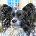 ���� ���� ����, ������� ��������, 30 ��� - ��������� 13 ������� 2015