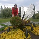 ���� �������, ������, 68 ��� - ��������� 25 ������� 2015 � ������ ���� ����������